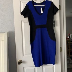 NY&Co knit dress